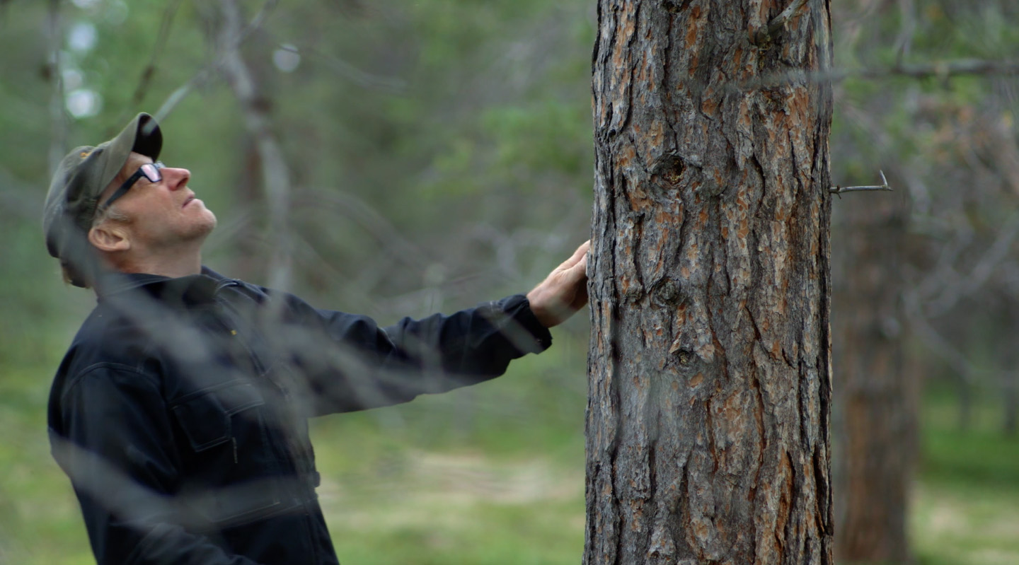 Le grand châle d'Aamu, un film de Lucie Lambert